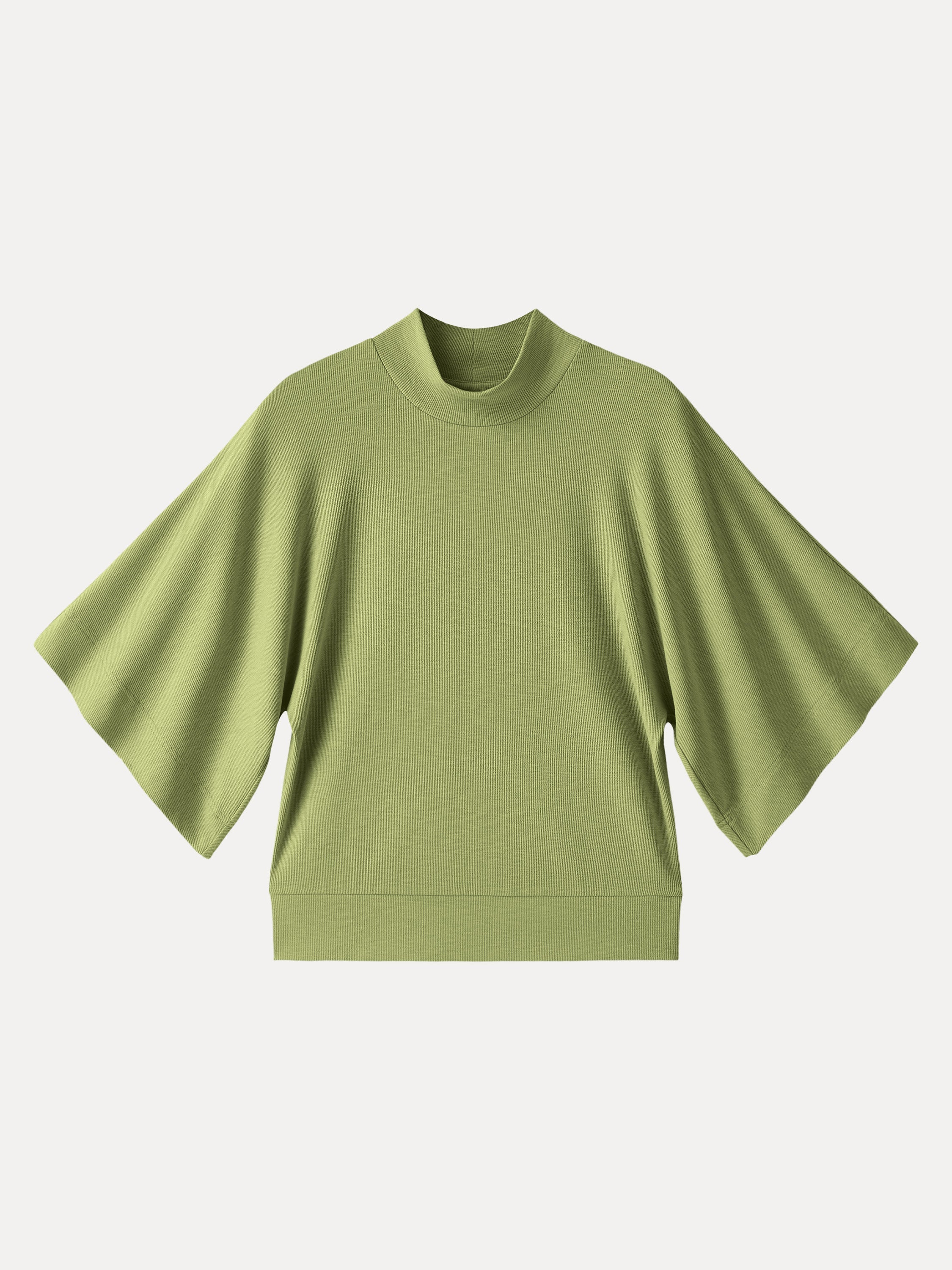 Plantive Mockneck Batwing Short Sleeve Top