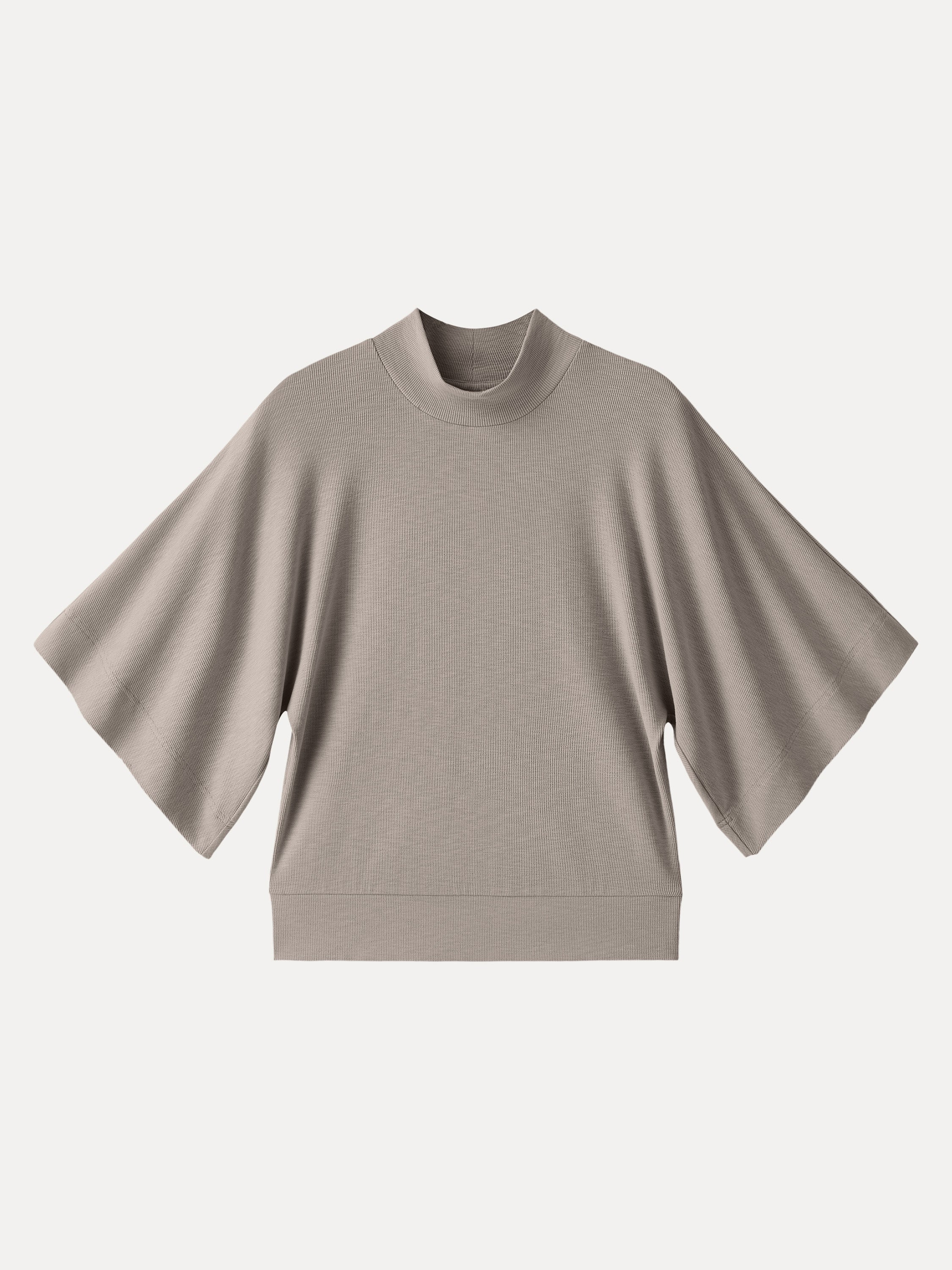 Plantive Mockneck Batwing Short Sleeve Top